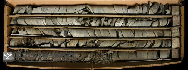 Accession Number:C000763 Collection Image, Figure 2, Total 2 Figures