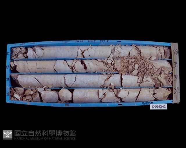 登錄號:C004343藏品圖，第1張