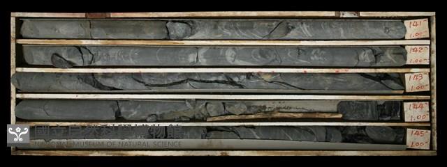 登錄號:C000643藏品圖，第2張