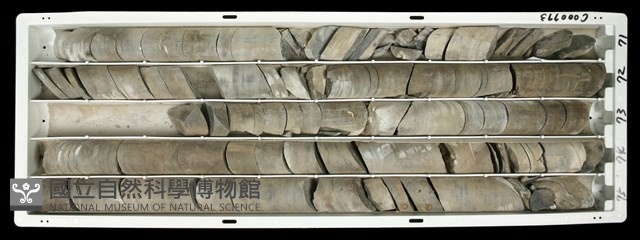 登錄號:C000773藏品圖，第1張