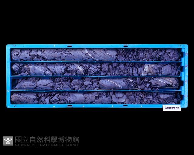 登錄號:C003973藏品圖，第1張