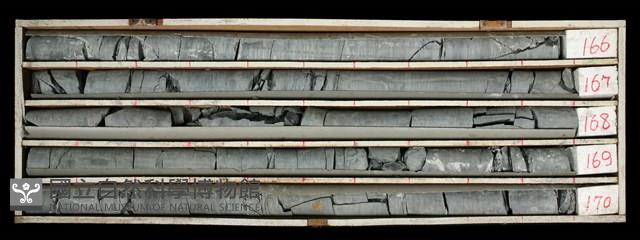 登錄號:C000473藏品圖，第1張