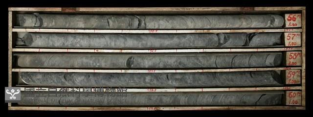 登錄號:C000673藏品圖，第2張