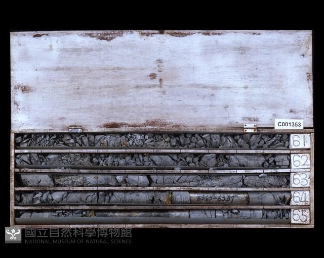 登錄號:C001353藏品圖，第2張