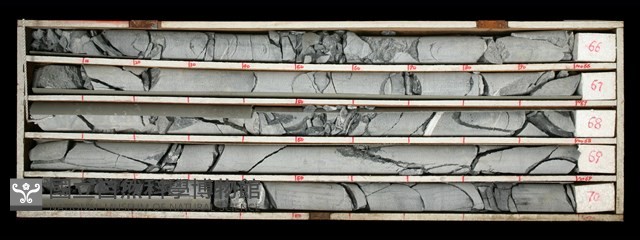 登錄號:C000453藏品圖，第1張
