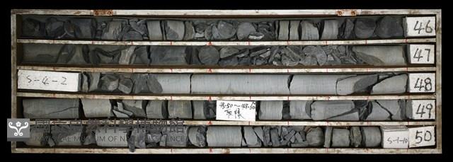 登錄號:C003613藏品圖，第1張