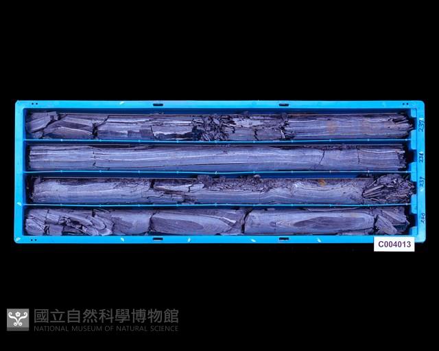 登錄號:C004013藏品圖，第1張