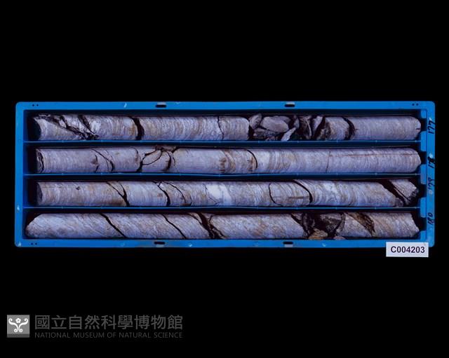 登錄號:C004203藏品圖，第1張