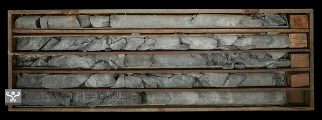 登錄號:C000703藏品圖，第2張