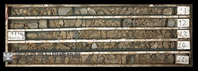 登錄號:C003703藏品圖，第1張