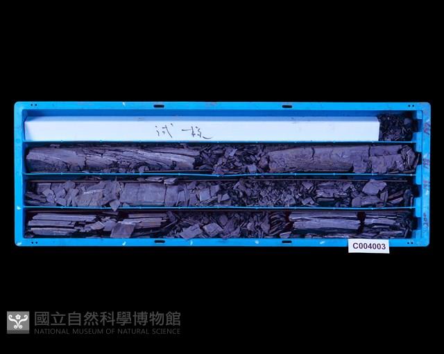 登錄號:C004003藏品圖，第1張