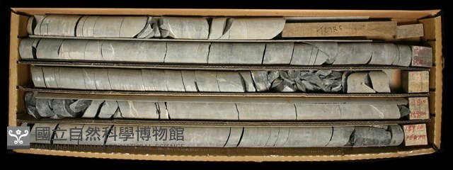 登錄號:C000733藏品圖，第2張