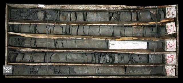 登錄號:C003633藏品圖，第1張