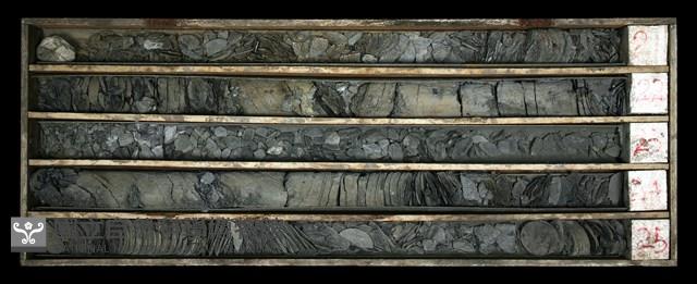 登錄號:C003627藏品圖，第1張