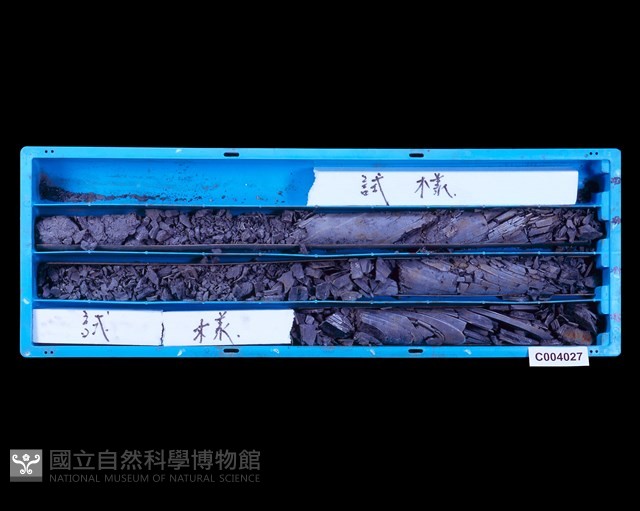 登錄號:C004027藏品圖，第1張