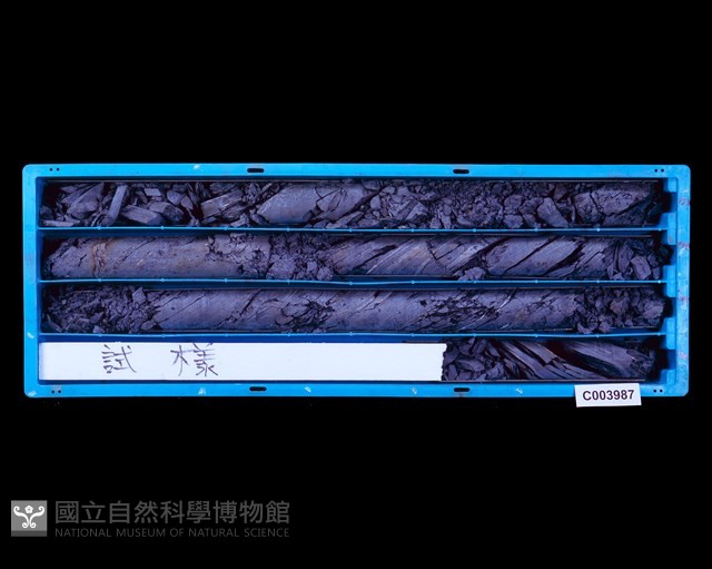 登錄號:C003987藏品圖，第1張