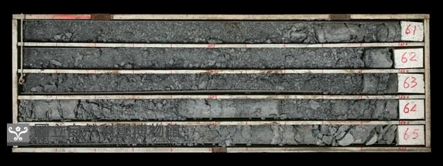 登錄號:C000487藏品圖，第1張