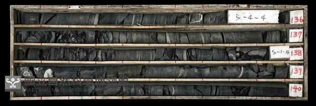 登錄號:C003487藏品圖，第1張