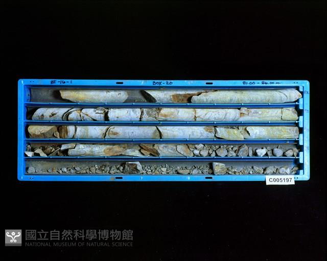 登錄號:C005197藏品圖，第2張