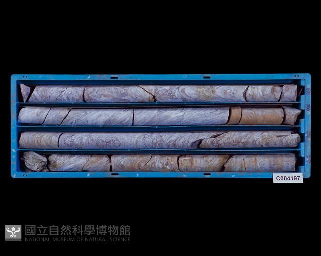 登錄號:C004197藏品圖，第1張