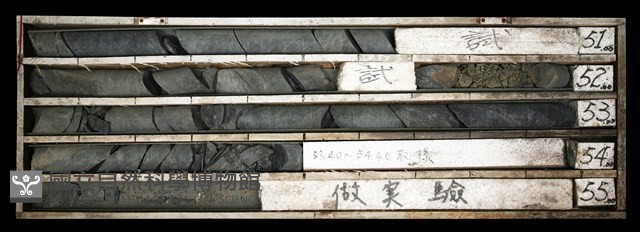 登錄號:C003667藏品圖，第1張