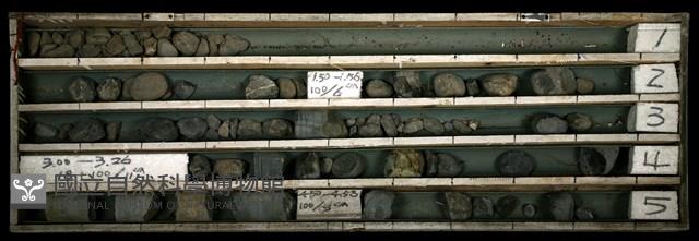 登錄號:C003347藏品圖，第1張