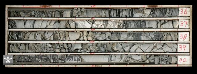 登錄號:C000447藏品圖，第1張