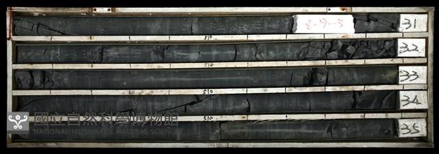 登錄號:C003447藏品圖，第1張