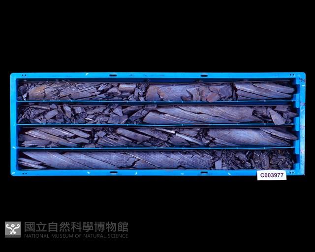 登錄號:C003977藏品圖，第1張