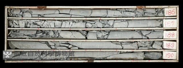 登錄號:C000477藏品圖，第1張