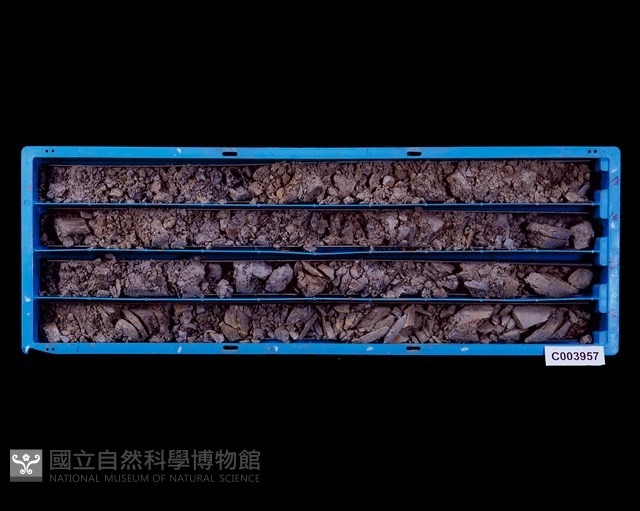 登錄號:C003957藏品圖，第1張