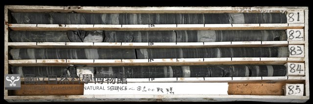 登錄號:C003457藏品圖，第1張