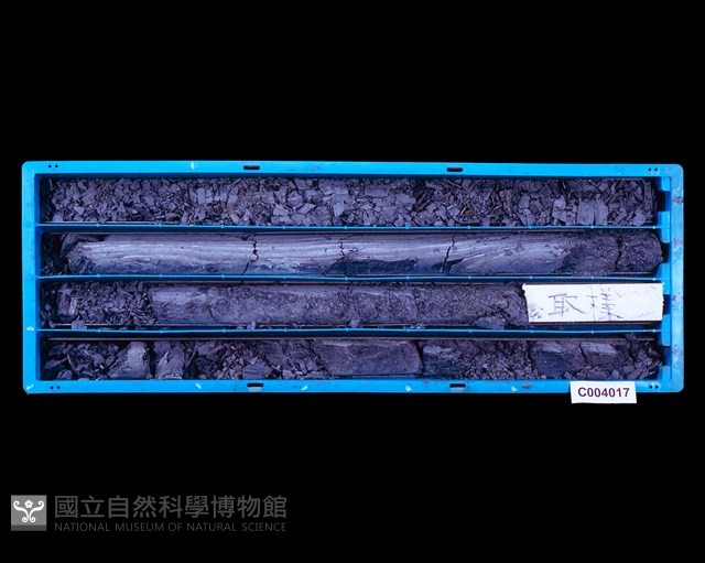 登錄號:C004017藏品圖，第1張