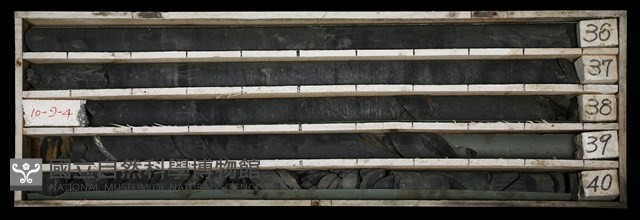 登錄號:C003507藏品圖，第1張