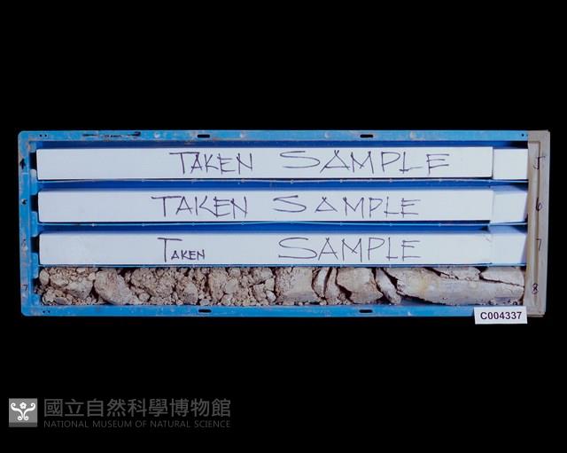 登錄號:C004337藏品圖，第2張