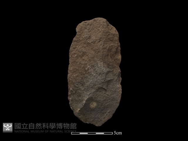 斧鋤形器藏品圖，第1張