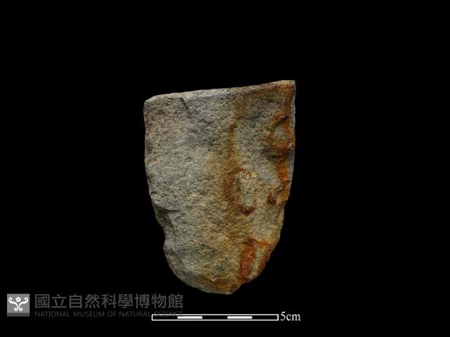 Accession Number:CSSC-2014-029 Collection Image, Figure 1, Total 2 Figures