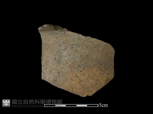 Accession Number:DDTC-2016-009 Collection Image, Figure 1, Total 2 Figures