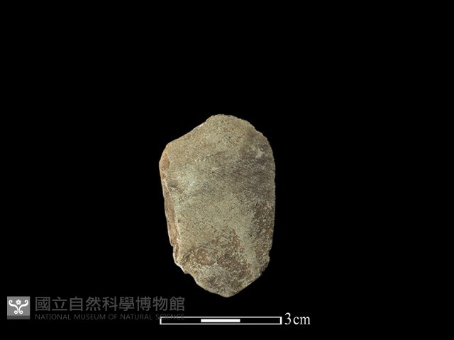 石片藏品圖，第2張