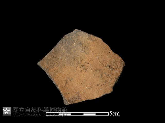 陶片藏品圖，第2張