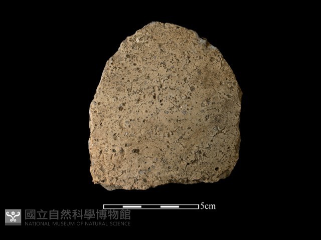 陶片藏品圖，第1張
