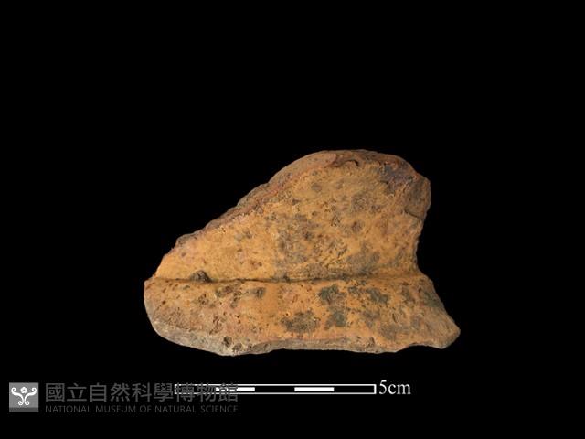 陶罐藏品圖，第2張