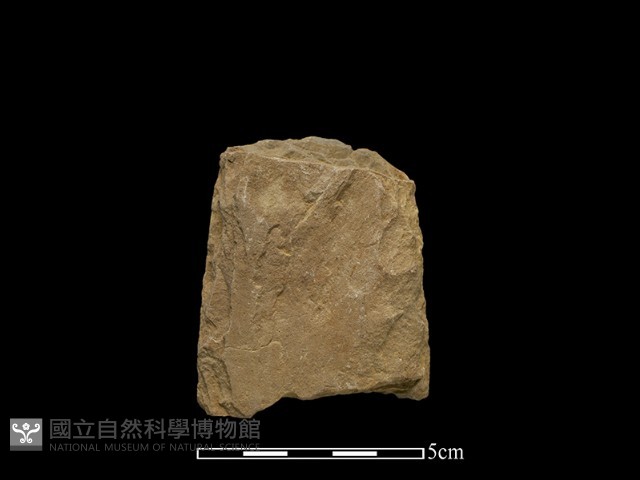 斧鋤形器藏品圖，第2張