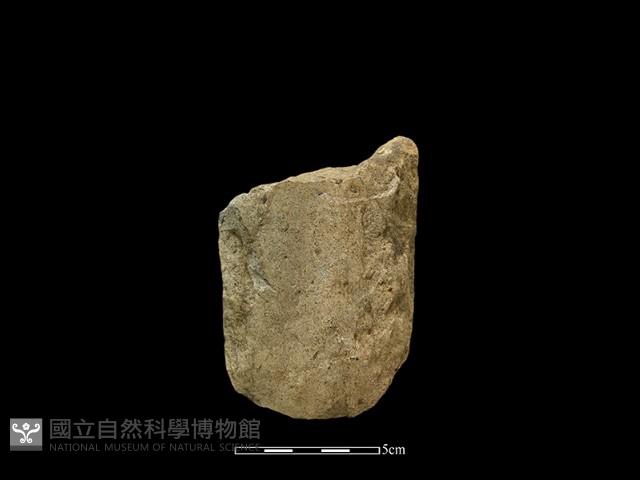 磨製斧鋤形器藏品圖，第1張