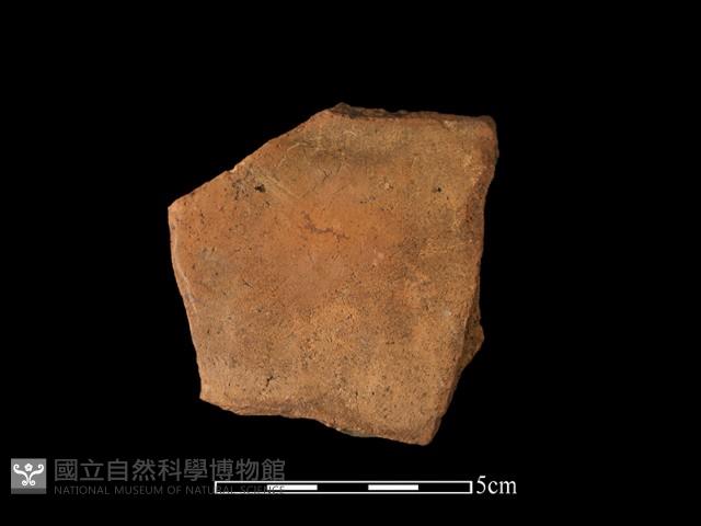 陶片藏品圖，第1張