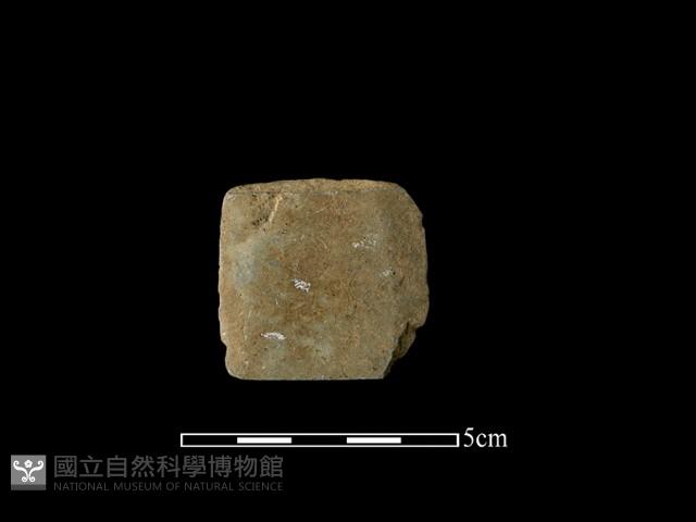 矛鏃形器藏品圖，第1張