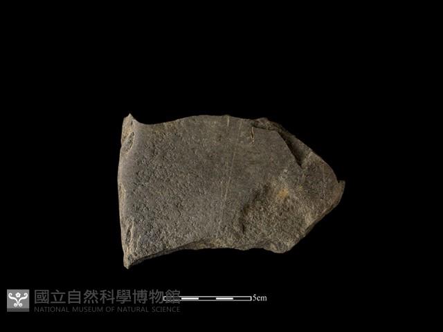 磨製斧鋤形器藏品圖，第2張