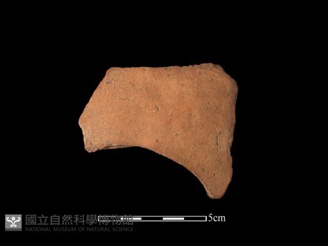 陶片藏品圖，第1張