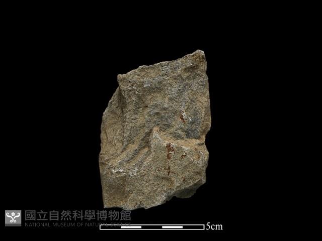 斧鋤形器藏品圖，第2張