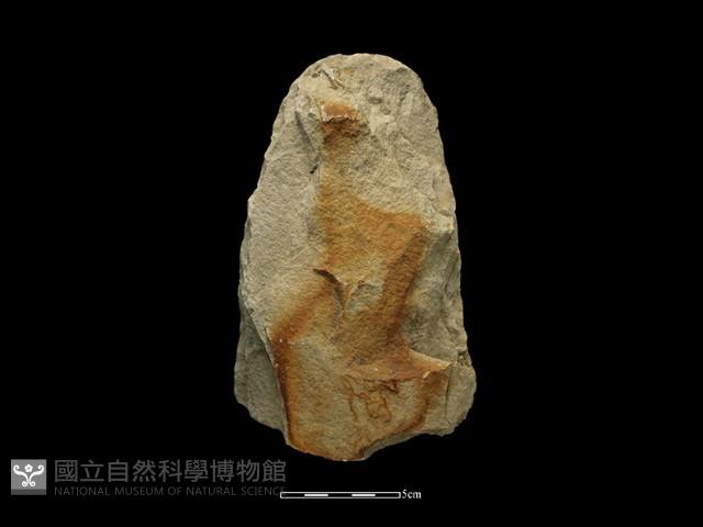 斧鋤形器藏品圖，第2張